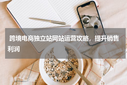  跨境电商独立站网站运营攻略，提升销售利润  