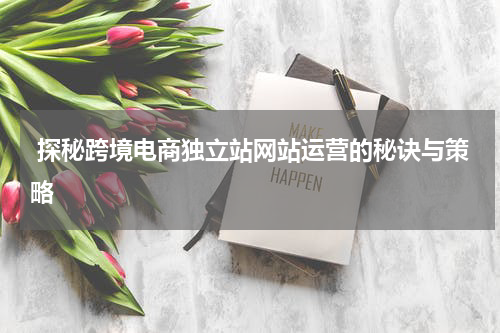  探秘跨境电商独立站网站运营的秘诀与策略  