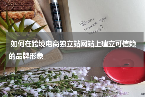  如何在跨境电商独立站网站上建立可信赖的品牌形象  