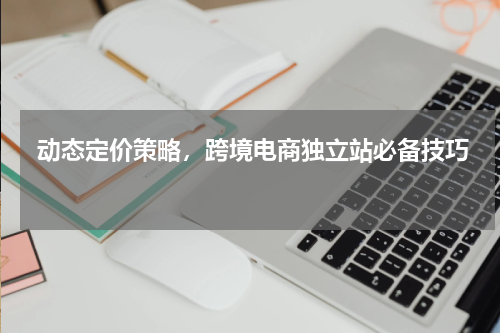  动态定价策略，跨境电商独立站必备技巧 