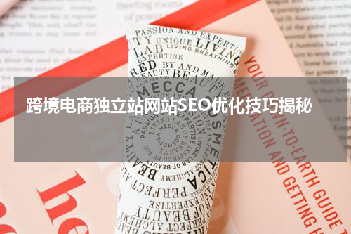  跨境电商独立站网站SEO优化技巧揭秘  