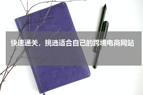  快速通关，挑选适合自己的跨境电商网站 