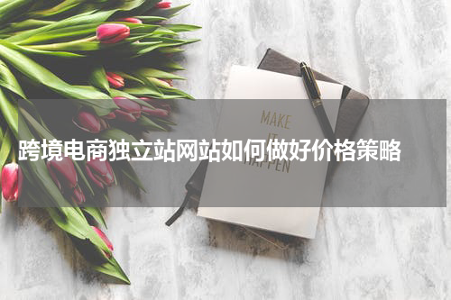  跨境电商独立站网站如何做好价格策略 