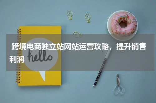  跨境电商独立站网站运营攻略，提升销售利润 