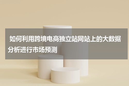  如何利用跨境电商独立站网站上的大数据分析进行市场预测  