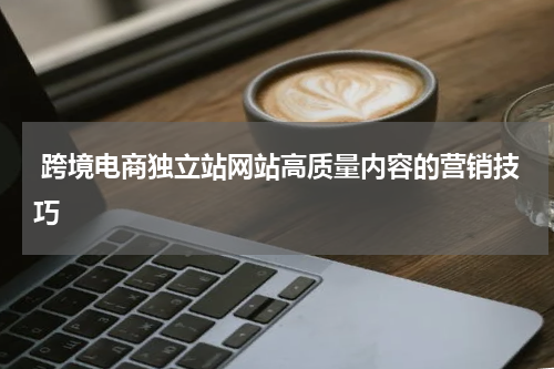  跨境电商独立站网站高质量内容的营销技巧  