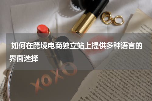  如何在跨境电商独立站上提供多种语言的界面选择  
