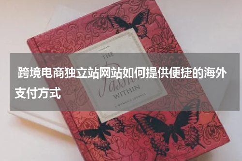  跨境电商独立站网站如何提供便捷的海外支付方式  
