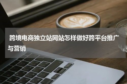  跨境电商独立站网站怎样做好跨平台推广与营销  
