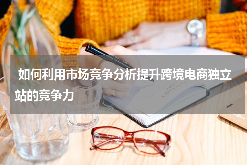  如何利用市场竞争分析提升跨境电商独立站的竞争力  