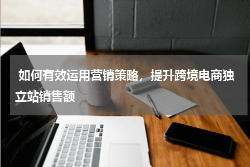  如何有效运用营销策略，提升跨境电商独立站销售额  