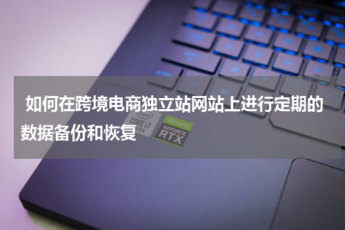  如何在跨境电商独立站网站上进行定期的数据备份和恢复  