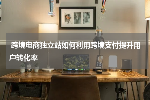  跨境电商独立站如何利用跨境支付提升用户转化率  