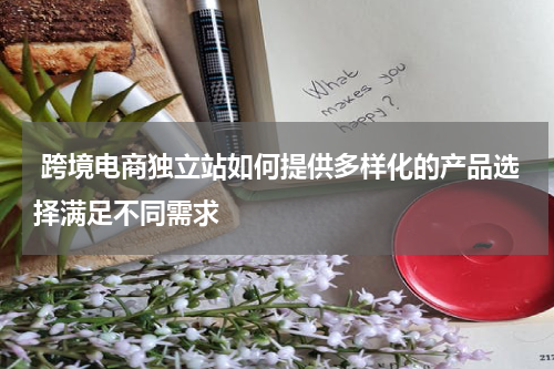  跨境电商独立站如何提供多样化的产品选择满足不同需求  