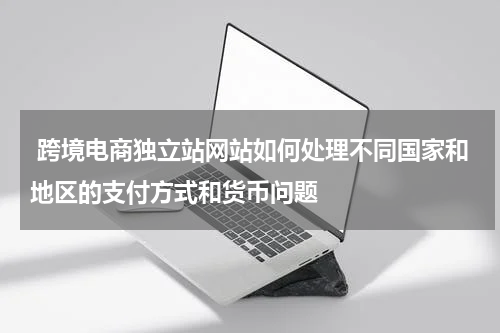  跨境电商独立站网站如何处理不同国家和地区的支付方式和货币问题  