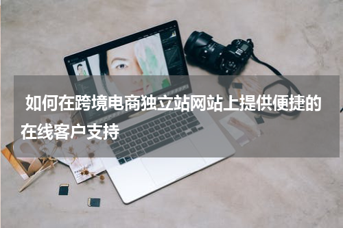  如何在跨境电商独立站网站上提供便捷的在线客户支持  