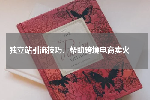  独立站引流技巧，帮助跨境电商卖火 