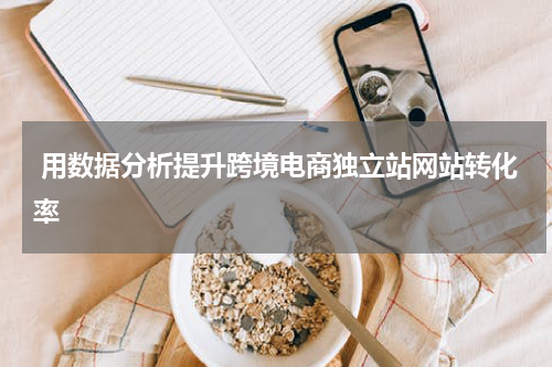  用数据分析提升跨境电商独立站网站转化率  