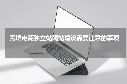  跨境电商独立站网站建设需要注意的事项 