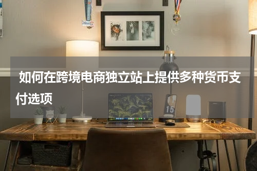  如何在跨境电商独立站上提供多种货币支付选项  