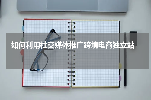  如何利用社交媒体推广跨境电商独立站  