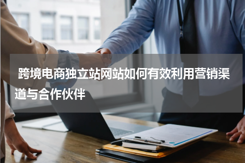  跨境电商独立站网站如何有效利用营销渠道与合作伙伴  