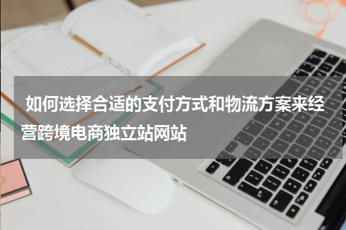  如何选择合适的支付方式和物流方案来经营跨境电商独立站网站  