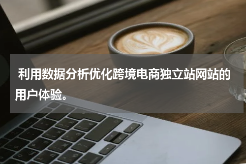  利用数据分析优化跨境电商独立站网站的用户体验。 