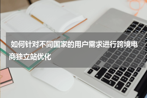  如何针对不同国家的用户需求进行跨境电商独立站优化  