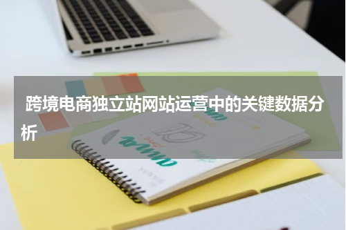  跨境电商独立站网站运营中的关键数据分析  