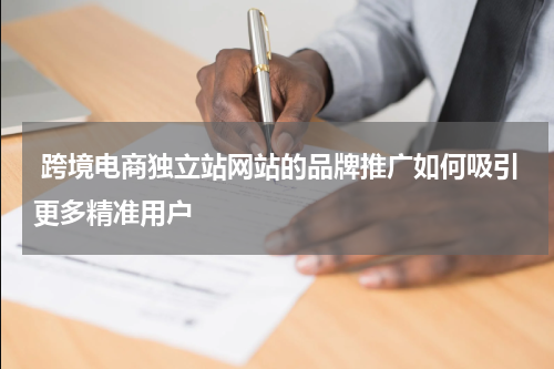  跨境电商独立站网站的品牌推广如何吸引更多精准用户  
