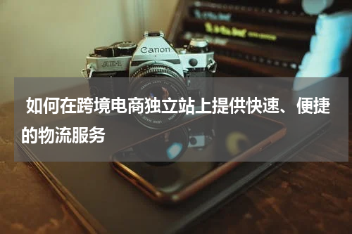  如何在跨境电商独立站上提供快速、便捷的物流服务  