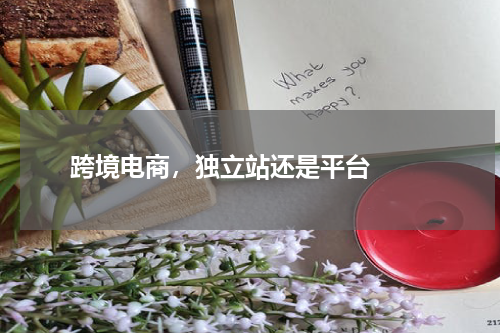  跨境电商，独立站还是平台  