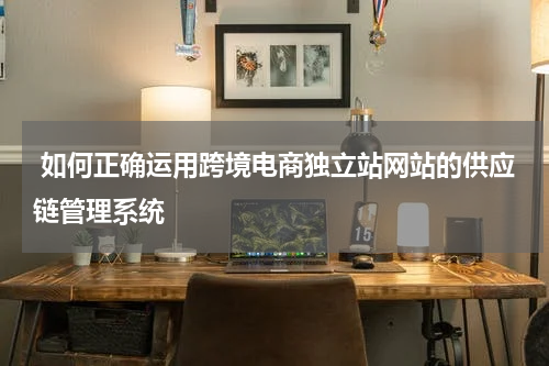  如何正确运用跨境电商独立站网站的供应链管理系统  