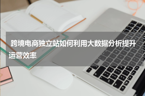  跨境电商独立站如何利用大数据分析提升运营效率  