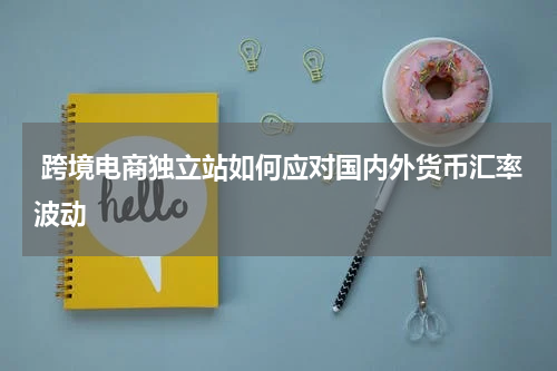  跨境电商独立站如何应对国内外货币汇率波动  