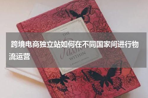  跨境电商独立站如何在不同国家间进行物流运营  