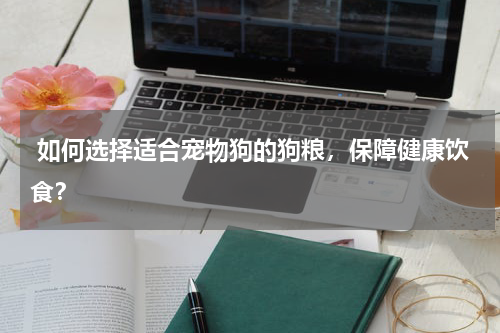  如何选择适合宠物狗的狗粮，保障健康饮食？