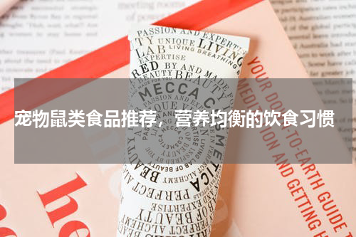  宠物鼠类食品推荐，营养均衡的饮食习惯