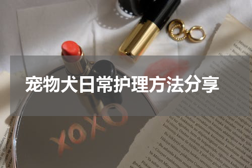  宠物犬日常护理方法分享
