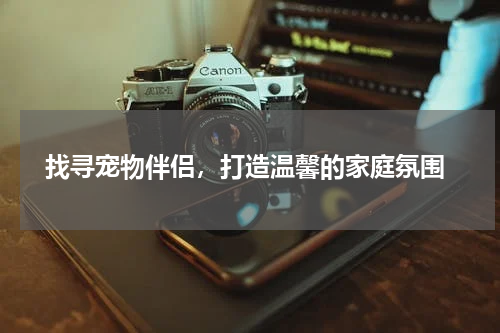  找寻宠物伴侣，打造温馨的家庭氛围