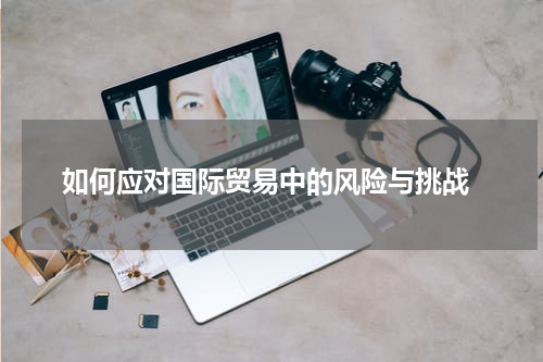  如何应对国际贸易中的风险与挑战
