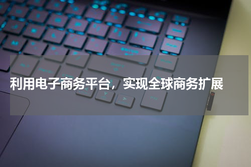  利用电子商务平台，实现全球商务扩展 