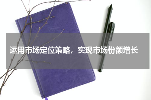  运用市场定位策略，实现市场份额增长
