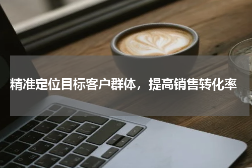  精准定位目标客户群体，提高销售转化率