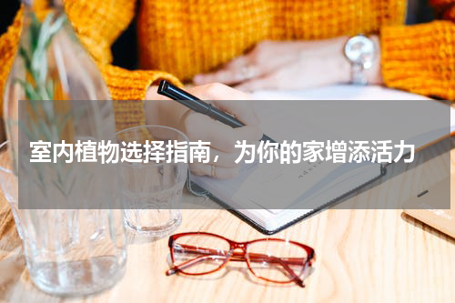  室内植物选择指南，为你的家增添活力
