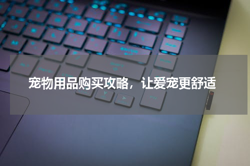  宠物用品购买攻略，让爱宠更舒适