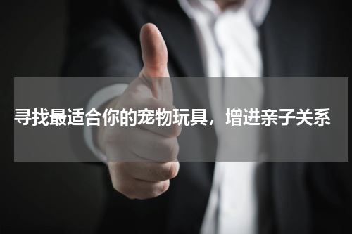  寻找最适合你的宠物玩具，增进亲子关系