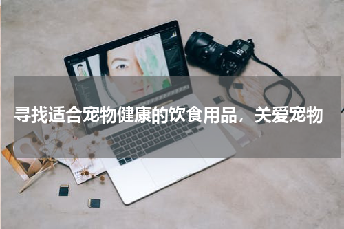  寻找适合宠物健康的饮食用品，关爱宠物