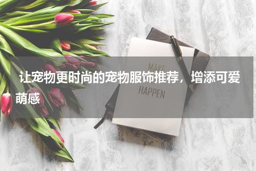  让宠物更时尚的宠物服饰推荐，增添可爱萌感